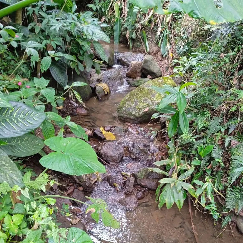 cachipai-cundinamarca