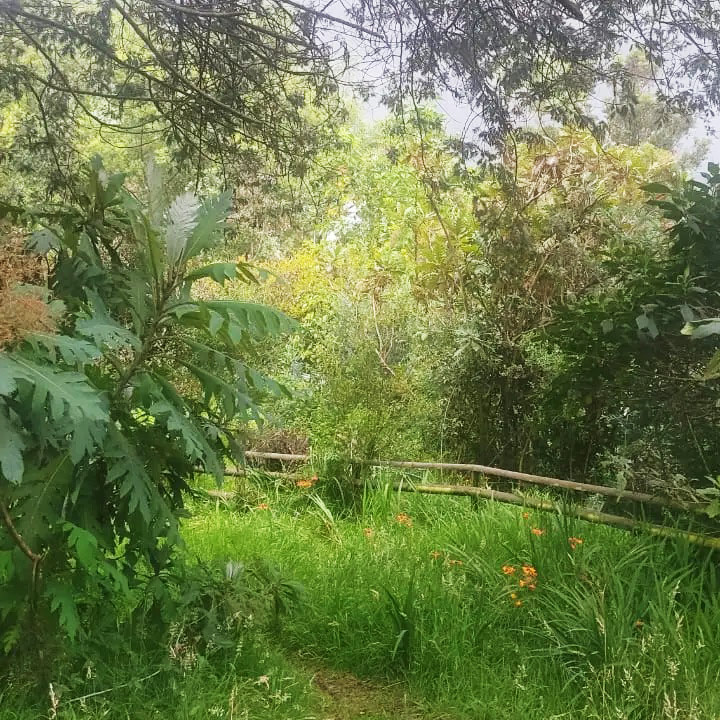delta-del-tigre-argentina