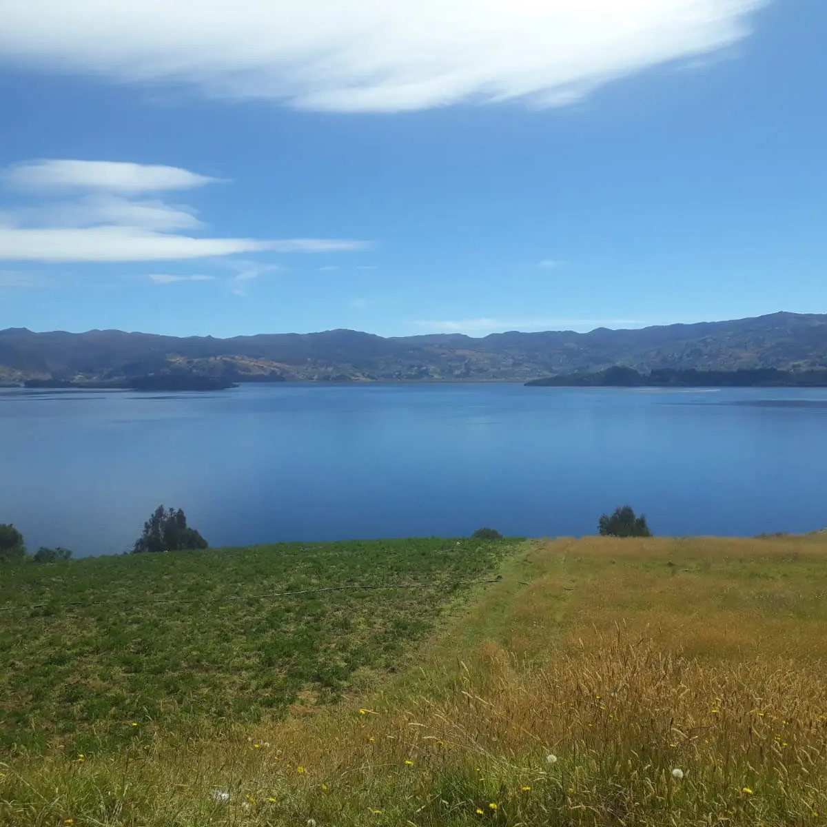 laguna-de-tota-boyaca1