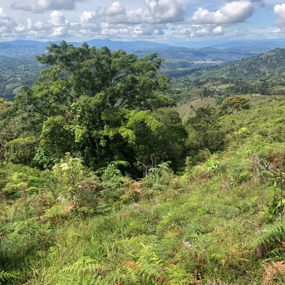 san-agustin-huila