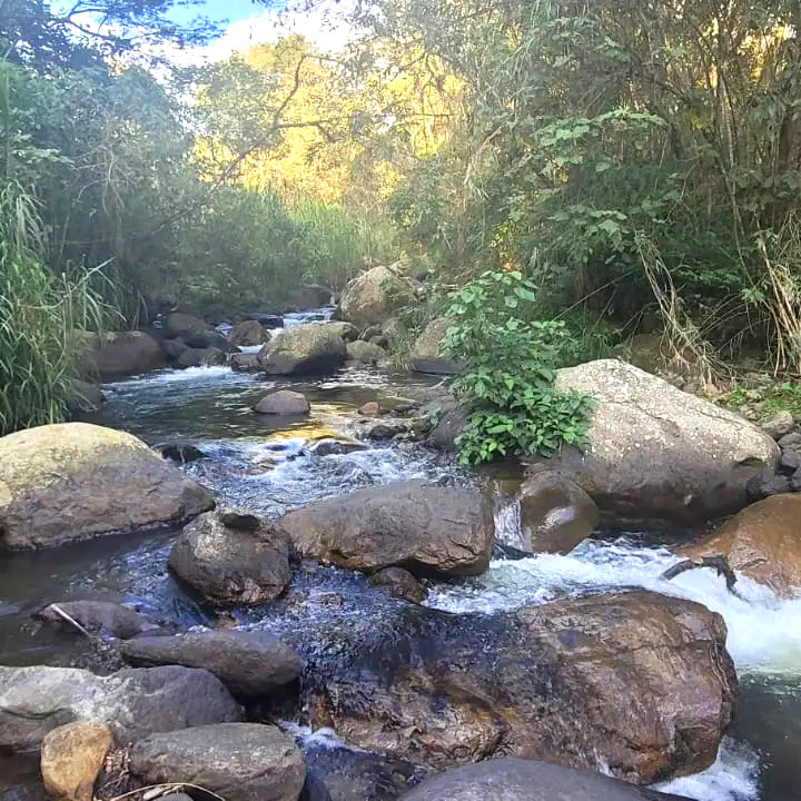 san-francisco-cundinamarca