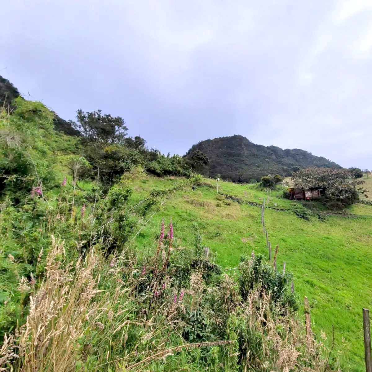 tabio-cundinamarca